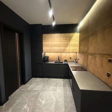 Deluxe Industrial Apartment Free Parking, Swimming Pool, Sauna & Gym Krakow